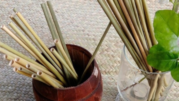 Best alternatives to plastic straws in 2021: Everything you need to know